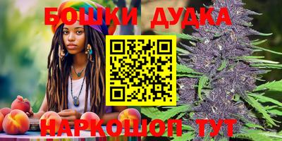 индика Уссурийск