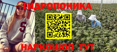 индика Уссурийск