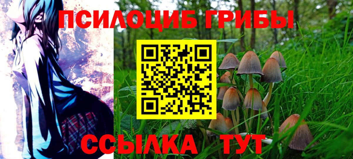 Псилоцибиновые грибы прущие грибы  Галлюциногенные грибы GOLDEN TEACHER  Джанкой  Вход с VPN 
