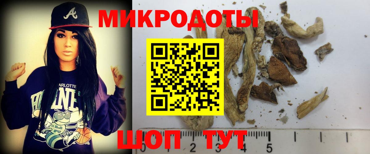 Псилоцибиновые грибы Psilocybe Джанкой